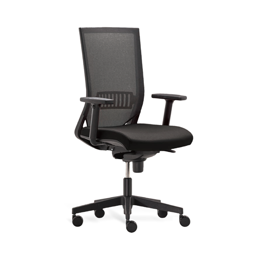 Standard Easy Pro Ergonomic Task Chair